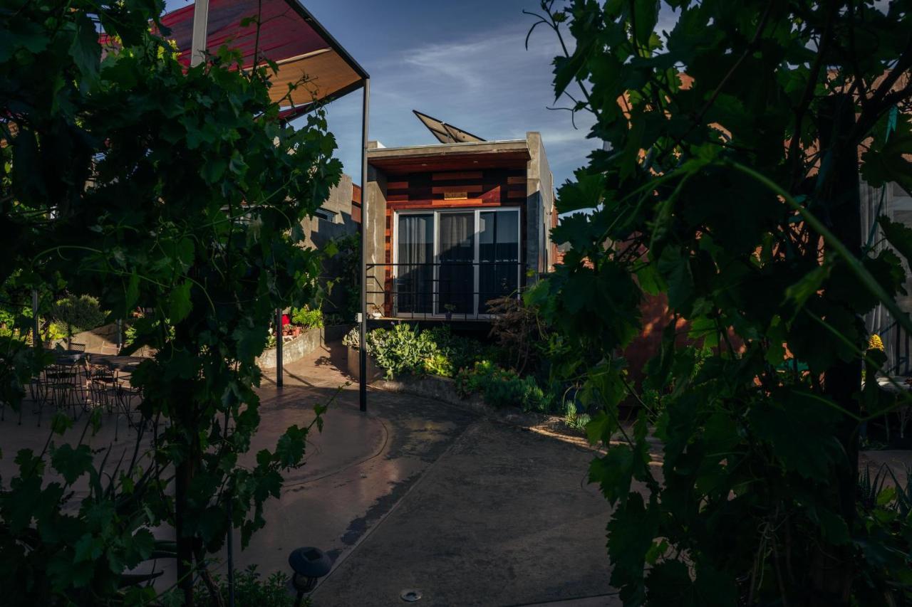 Entre Vides Valle De Guadalupe Kültér fotó