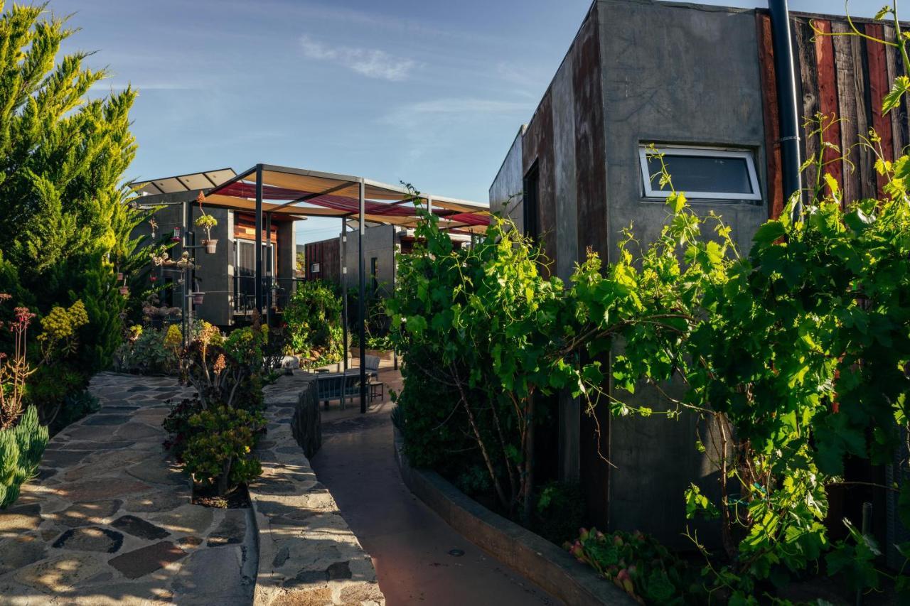 Entre Vides Valle De Guadalupe Kültér fotó