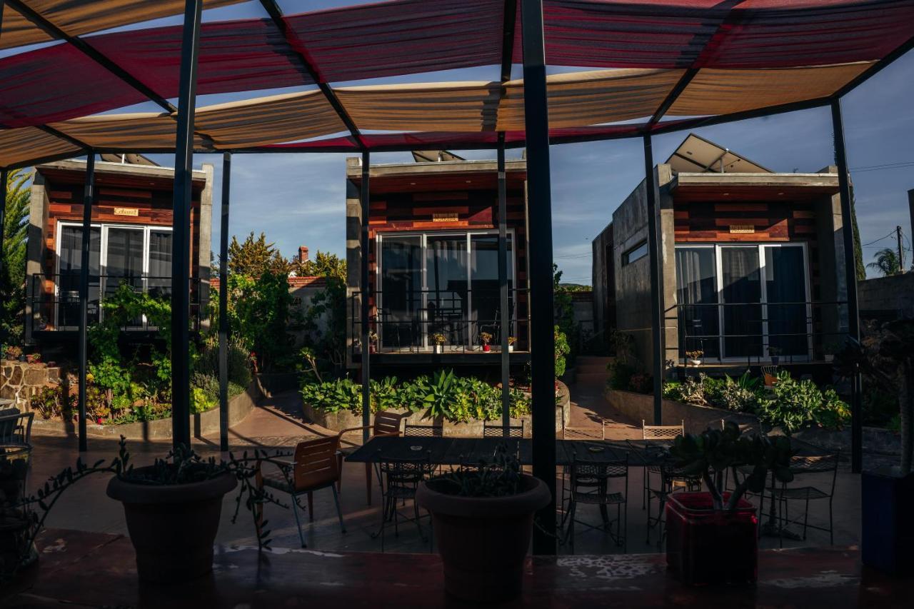 Entre Vides Valle De Guadalupe Kültér fotó