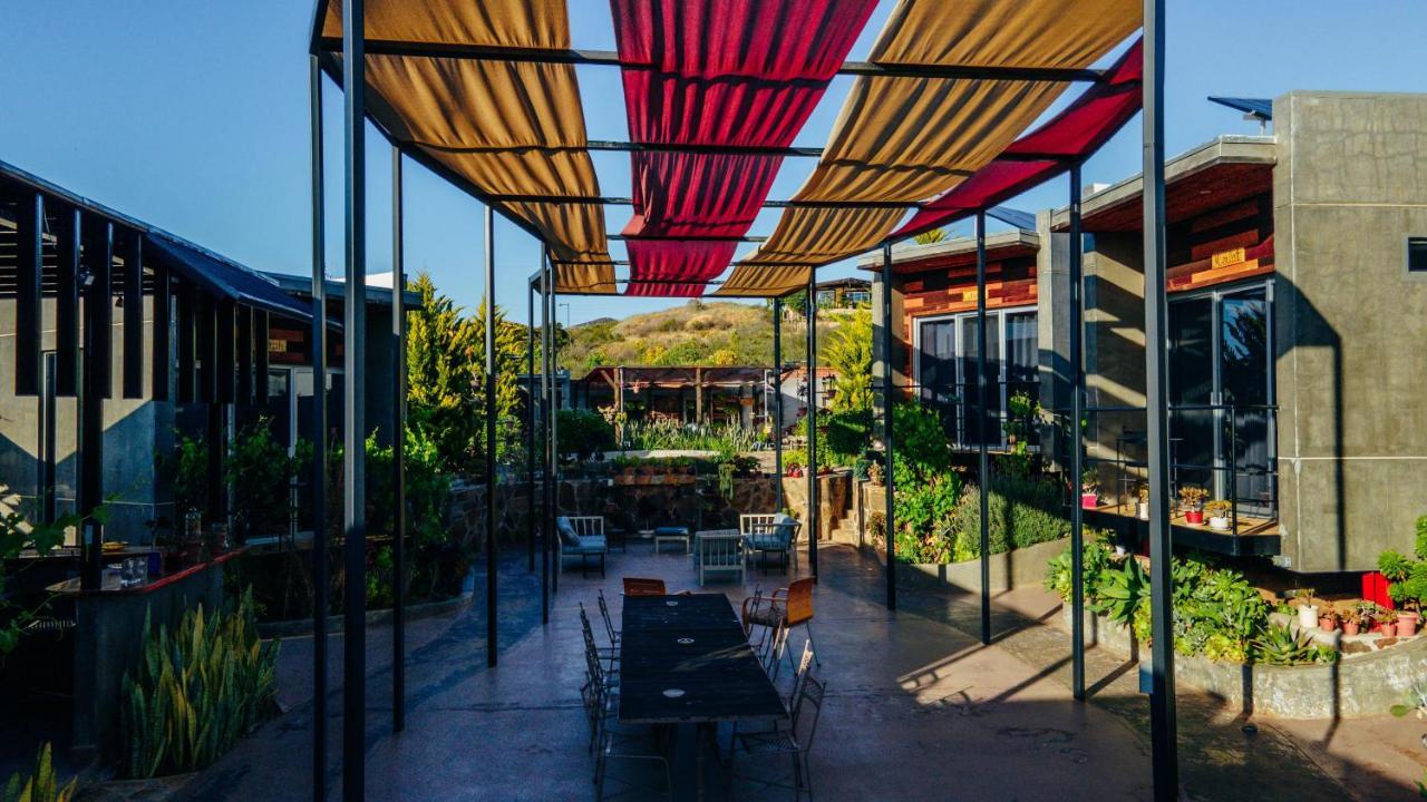 Entre Vides Valle De Guadalupe Kültér fotó