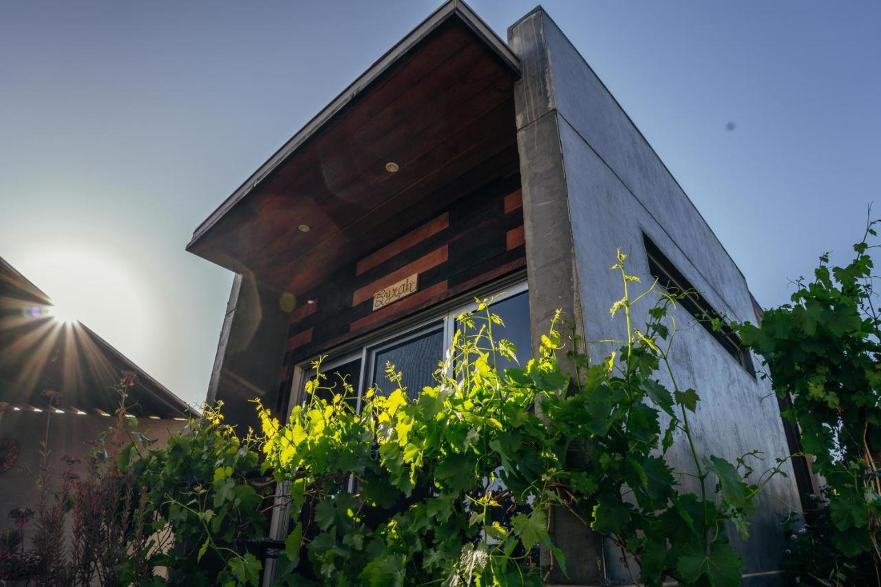 Entre Vides Valle De Guadalupe Kültér fotó
