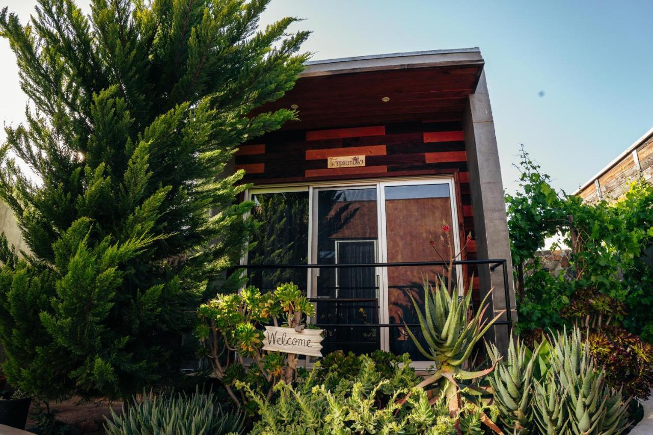 Entre Vides Valle De Guadalupe Kültér fotó