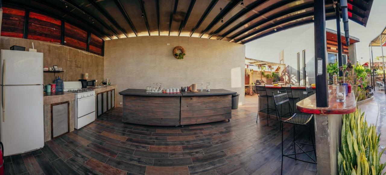 Entre Vides Valle De Guadalupe Kültér fotó