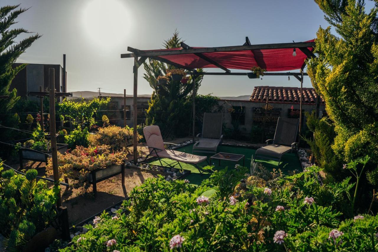 Entre Vides Valle De Guadalupe Kültér fotó