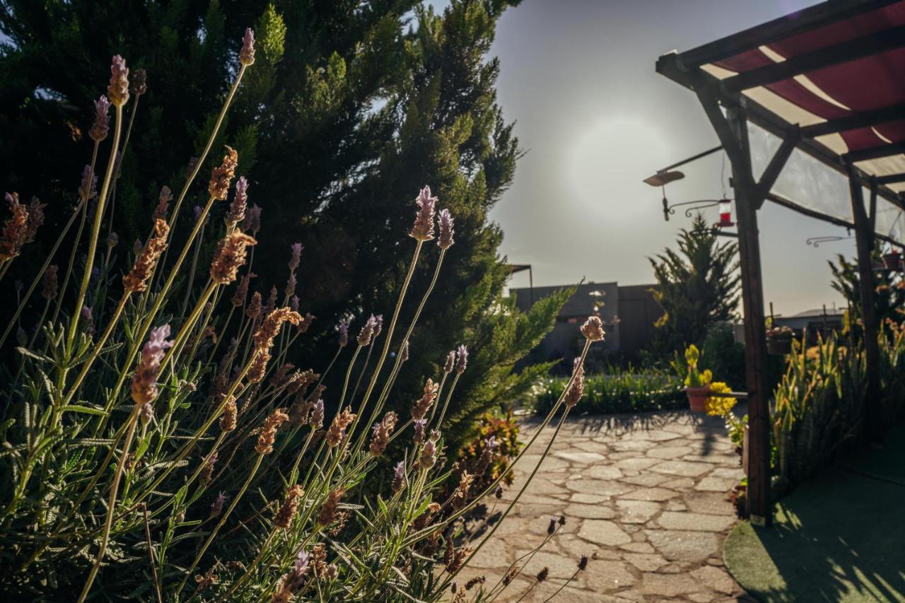 Entre Vides Valle De Guadalupe Kültér fotó