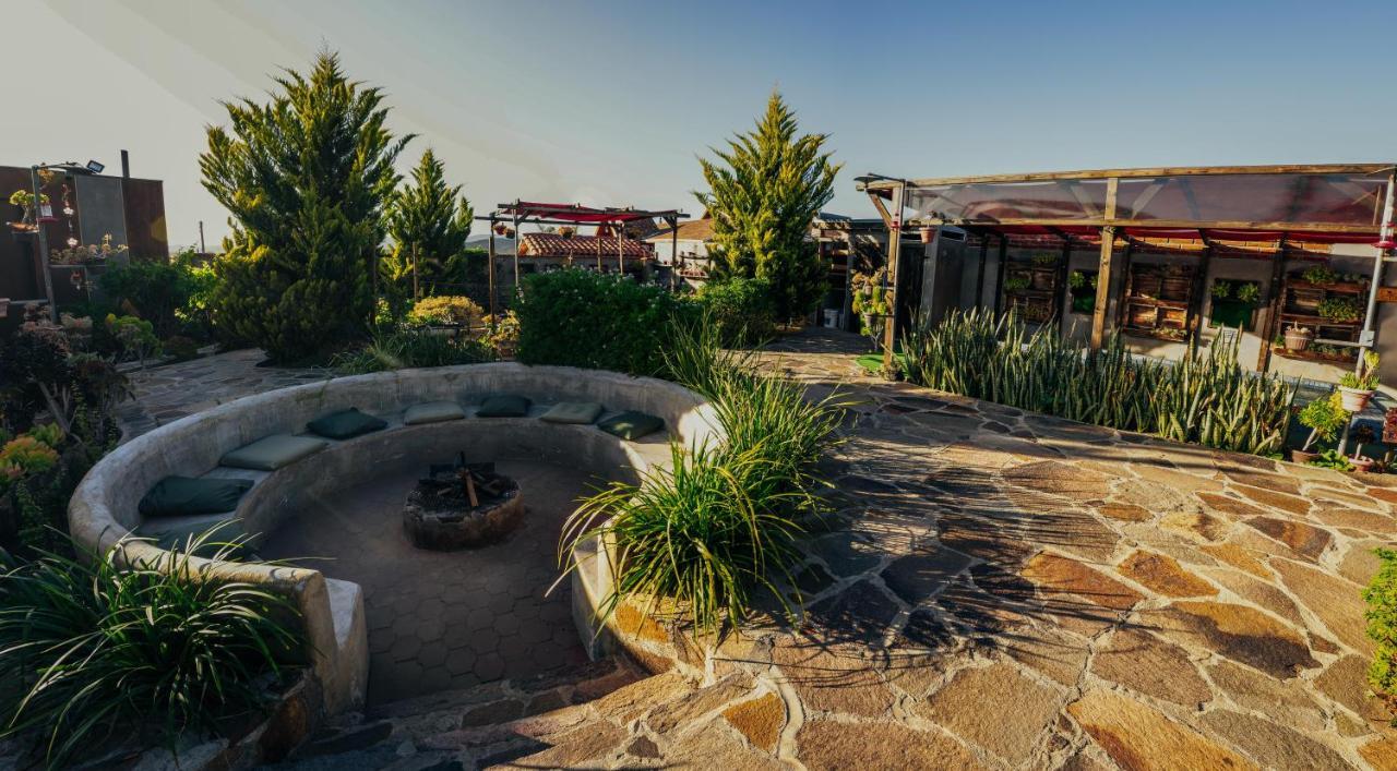 Entre Vides Valle De Guadalupe Kültér fotó