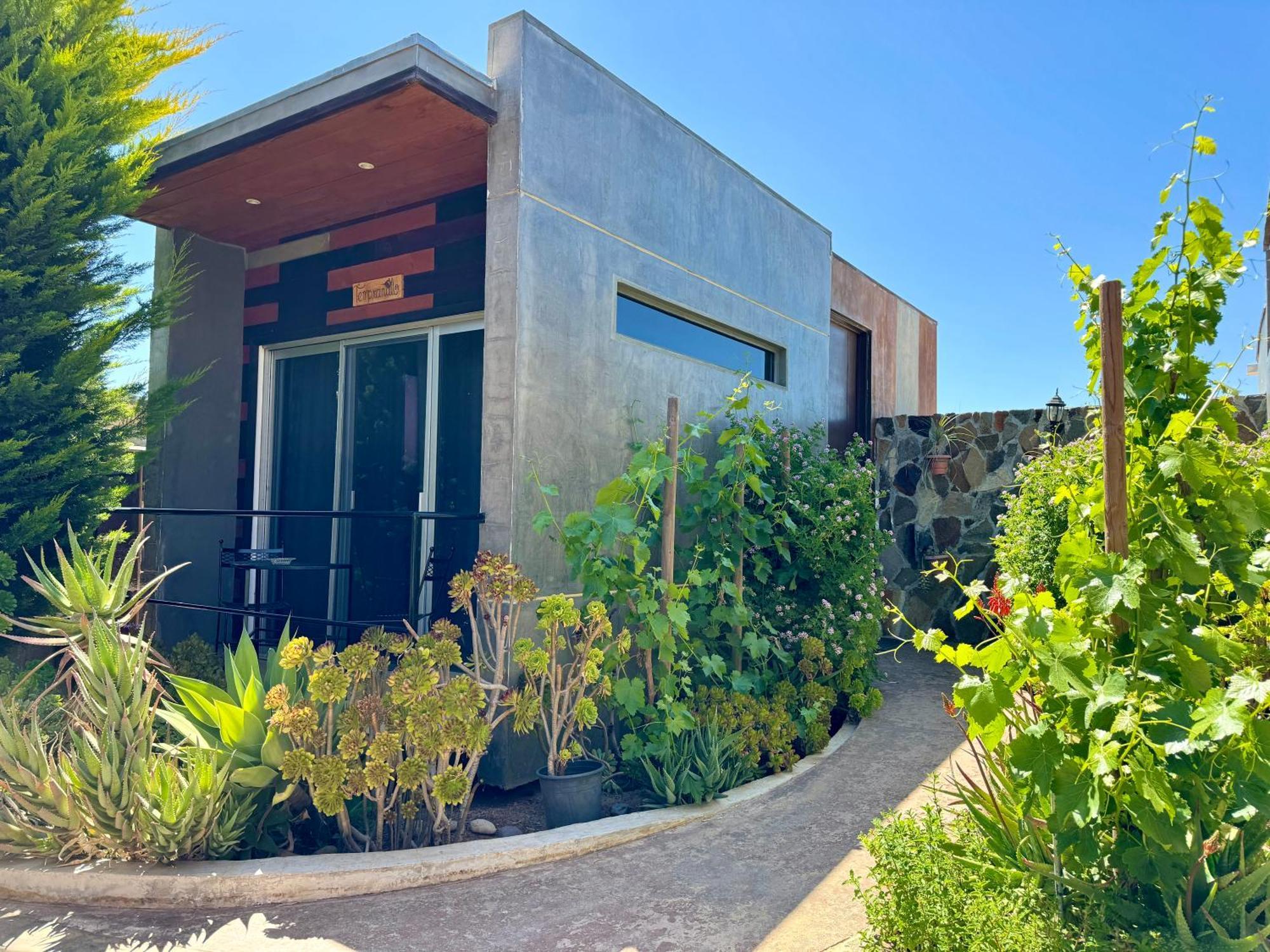 Entre Vides Valle De Guadalupe Kültér fotó